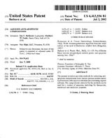 patent2.jpg